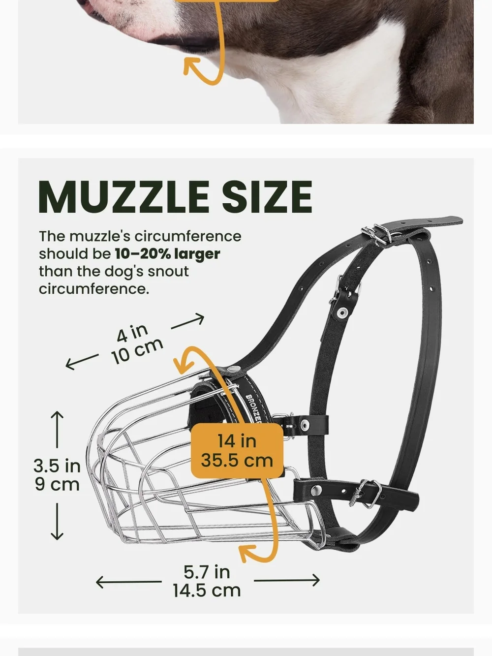 Bronze Dog Black Leather & Stainless Steel Muzzle